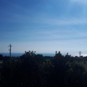 vista camera