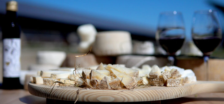 Sai come assaggiare il formaggio?