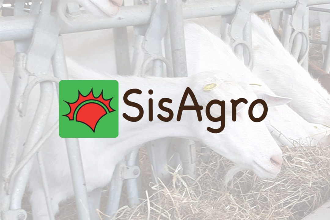 Sistemi Agro Biologici Società Agricola Srl — foto 4